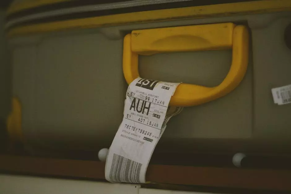 Can you take nicotine pouches on a plane?